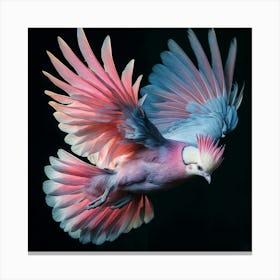 Cockatoo In Flight Canvas Print