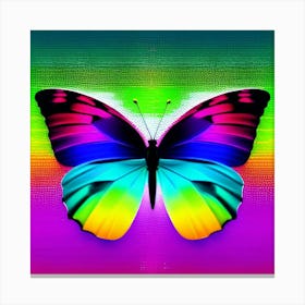 Rainbow Butterfly 7 Canvas Print