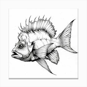 Fish Drawing 2 Canvas Print