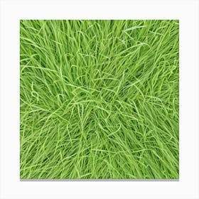 Grass Background 30 Canvas Print