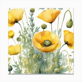 Yellow Poppies Canvas Print