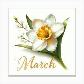 Jonquil - March Birth Flower Canvas Print