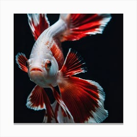 Siamese Catfish Canvas Print