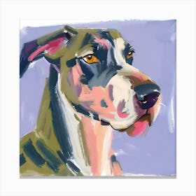 Great Dane 01 Canvas Print