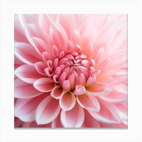 Pink Dahlia Flower Canvas Print