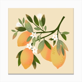 Tuscan Lemons Square Canvas Print