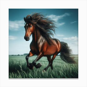 Horse 2 Canvas Print