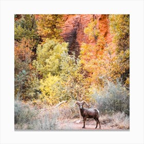 Wildlife With Autumn Leaves Square Canvas Print