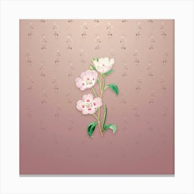 Vintage Pink Oenothera Flower Botanical on Dusty Pink Pattern n.2136 Canvas Print