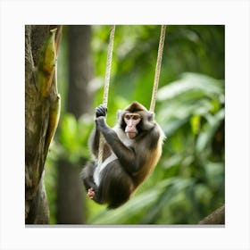 Monkey Swinging On A Tree Canvas Print