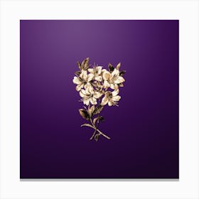 Gold Botanical Changeable Pontic Azalea on Royal Purple n.4414 Canvas Print