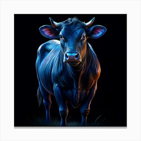 Black Cow Portrait Canvas Print