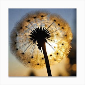 Dandelion At Sunset 1 Canvas Print