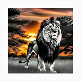 Lion At Sunset 20 Canvas Print