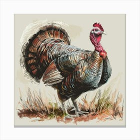 Turkey Painting Canvas Print