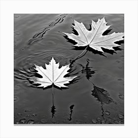 reflections Canvas Print