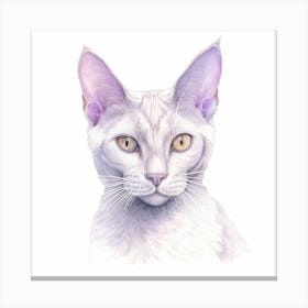 Thai Lilac Cat Portrait 2 Canvas Print