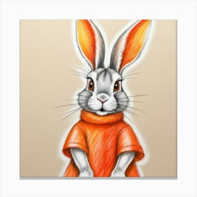 Rabbit In Orange Sweater Canvas Print