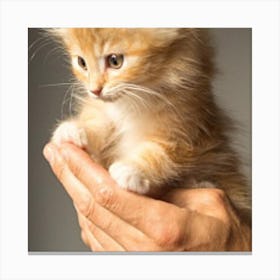 Kitten In A Man'S Hand Canvas Print