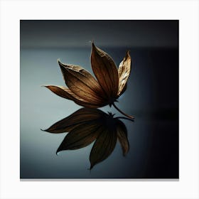 Reflection Of A Leaf Canvas Print