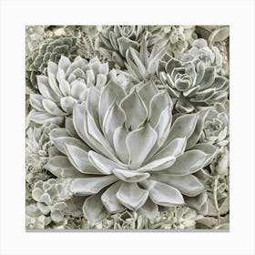 Succulents Plants Canvas Print