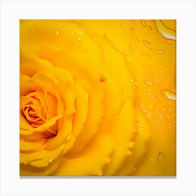 Yellow Rose With Water Droplets Canvas Print