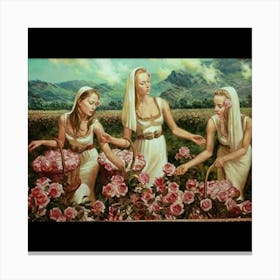 Three Women Picking Roses Canvas Print