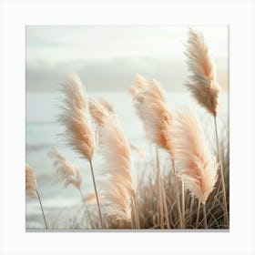 Beautiful Pampas Grass Canvas Print