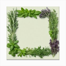 Frame Of Herbs Canvas Print