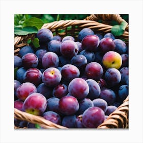 Plums In A Basket 3 Canvas Print