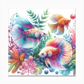 Aquarium fish 5 Canvas Print