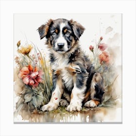 Australian Shepherd Puppy Canvas Print