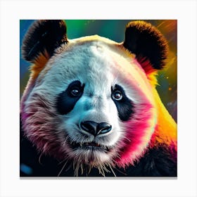 Panda Bear 1 Canvas Print