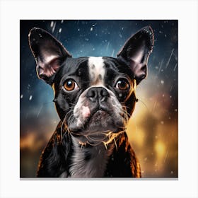 Boston Terrier Canvas Print