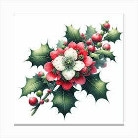 Flower of Holly-hox 1 Canvas Print