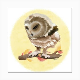 Owl/Chouette Canvas Print