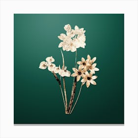 Gold Botanical Corn Lily on Dark Spring Green n.2764 Canvas Print