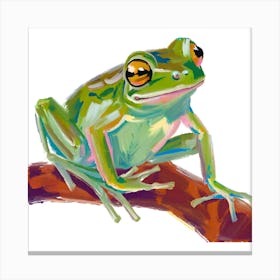 Green Tree Frog 07 Canvas Print
