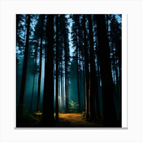 Dark Forest Canvas Print