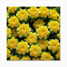 Yellow Daisy 1 Canvas Print