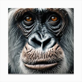 A Close Up Of A Majestic Chimpanzee, Capturing Its Intense Gaze And Powerful Presence Canvas Print