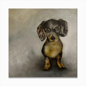 Dachshund Canvas Print