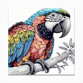 Line Art Ara parrot 2 Canvas Print