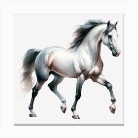 White Horse On Black Background 1 Canvas Print