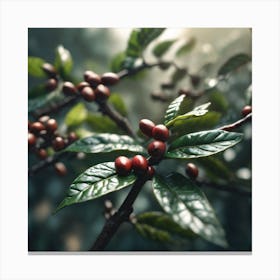 Coffee Berries 8 Canvas Print