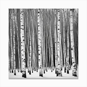 Birch Trees In Winter 3 Canvas Print