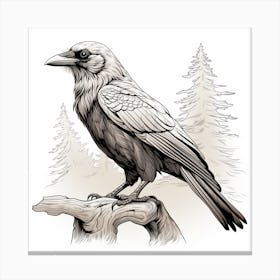 Sketch Raven Canvas Print