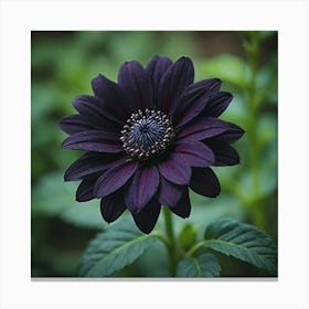 Dark Purple Flower Canvas Print