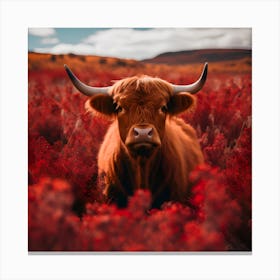 Bovine in red Canvas Print