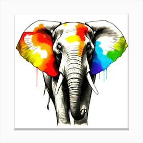 Colorful Elephant Canvas Print